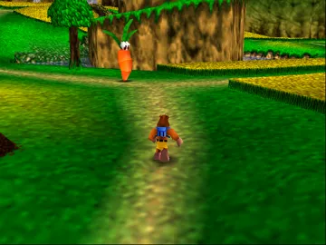 Banjo to Kazooie no Daibouken (Japan) screen shot game playing